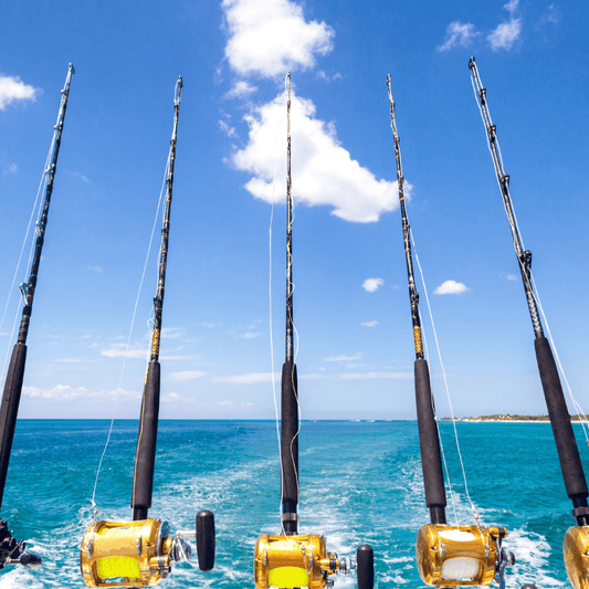 How to Choose the Right Rod and Reel Combo - The Salty Outfitter