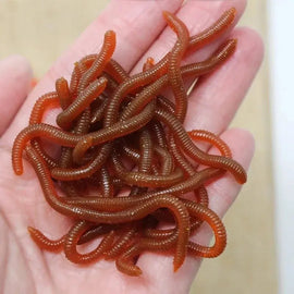 Lifelike Fishy Smell Red Soft Lures Simulation Earthworm Red Worms Artificial Fishing Lures - The Salty Outfitter