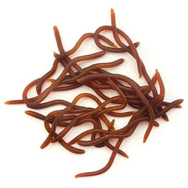 Lifelike Fishy Smell Red Soft Lures Simulation Earthworm Red Worms Artificial Fishing Lures - The Salty Outfitter